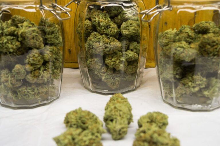 cannabis delivery toronto